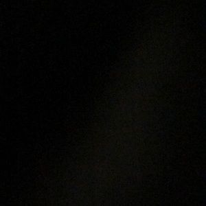 Meet your Posher, Owen